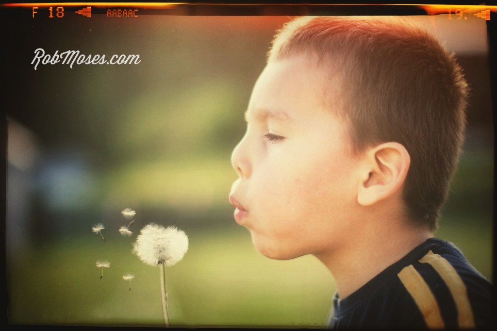 Child dandelion - Rob Moses photography - famous photo kids