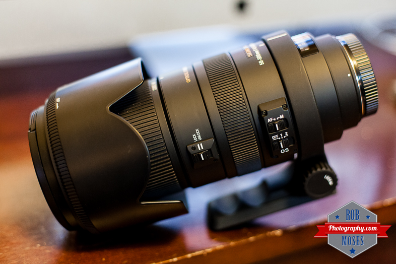 Sigma Bigma 50-50mm zoom lens bokeh - Rob Moses Photography 2