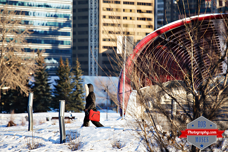 Calgary alberta canada woman walking winter fur jacket red bag urban city famous peace bridge buildings yyc street photographer - Rob Moses Photography - Vancouver Seattle Photographers best top