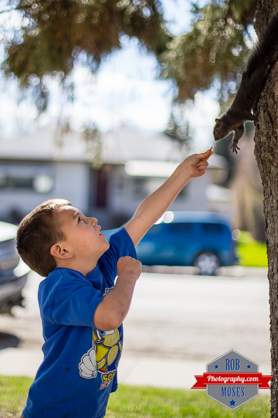 Child boy kid feed feeding wild Friendly Squirrel in Canada bokeh - Rob Moses Photography - Seattle Vancouver Calgary Photographer Native American Photographers-2
