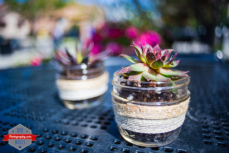 Vivitar 28mm close focus lens RL Edition  manual nikon mount canon adapter - Rob Moses Photography - Vancouver Seattle Calgary Photographer Photographer Native American Famous Tlingit Ojibawa Top Popular Best Canadian Lifestyle