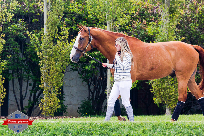 Woman girl walking horse animal sweet friend pal yyc beautiful pretty - Rob Moses Photography - Vancouver Seattle Calgary Photographer Photographer Native American Famous Tlingit Ojibawa Top Popular Best Canadian Lifestyle