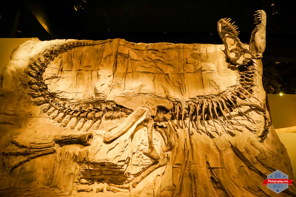 Drumheller Dinosaur Fun kids boys Rob Moses Photography Calgary Photographer Photographers Native American Famous un celebrity Tlingit Ojibawa Top Popular Best Good Canadian-14