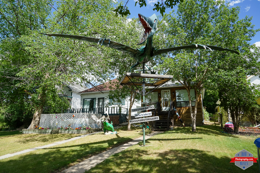 Drumheller Dinosaur Fun kids boys Rob Moses Photography Calgary Photographer Photographers Native American Famous un celebrity Tlingit Ojibawa Top Popular Best Good Canadian-3