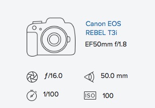 Canon EOS Rebel T3i & EF 50mm f:1.8 mark i 1 original exif data