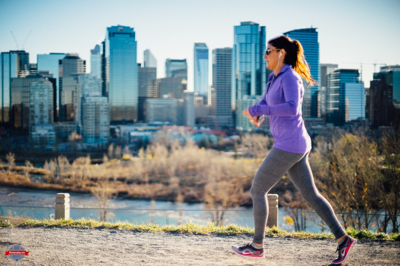 Click to view image in a larger size.