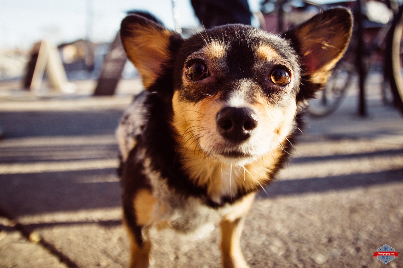 Click photo to view in a larger size.