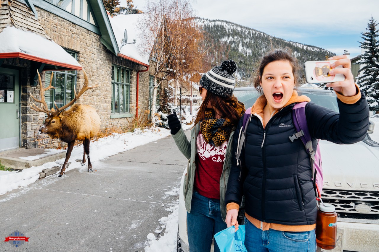 Click image to view in a larger size.