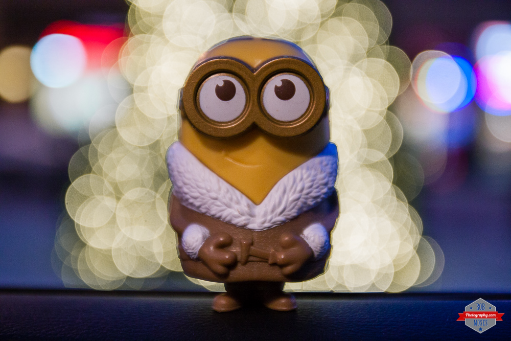 Bokeh Minion Tourist tree skyline yyc winter jacket fun Rob Moses Photography Calgary Vancouver Seattle Spokane Photographer WA BC Native American Tlingit Ojibaway famous un celebrity Canadian best