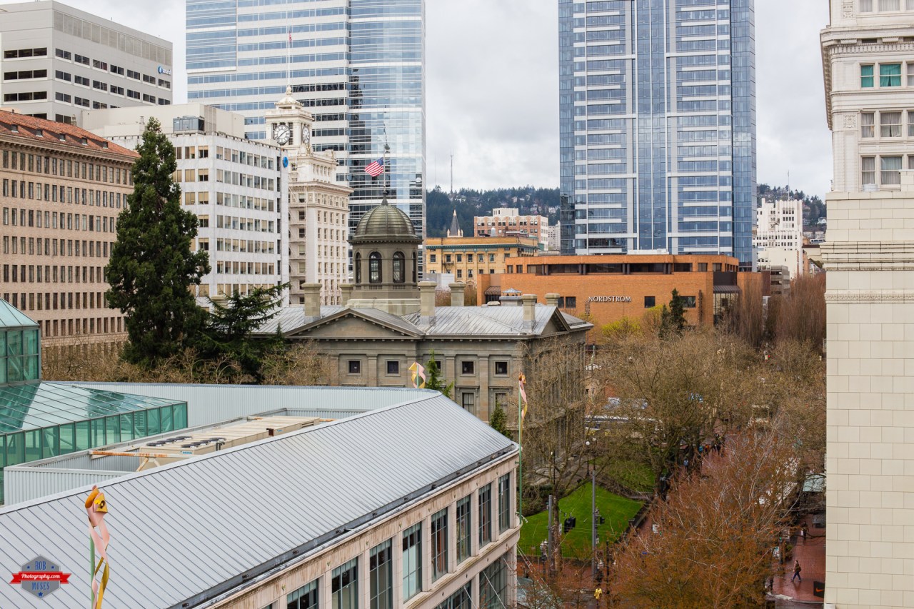 Click photo to view in a larger size. 