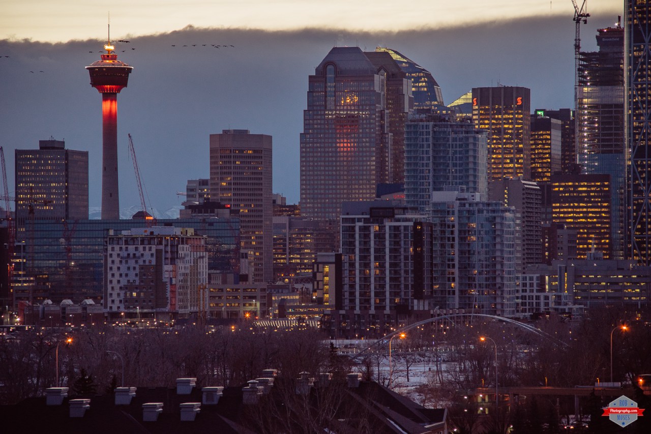 Click photo to view in a larger size.