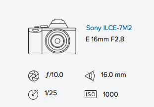 Sony a7ii with Sony Fisheye Converter