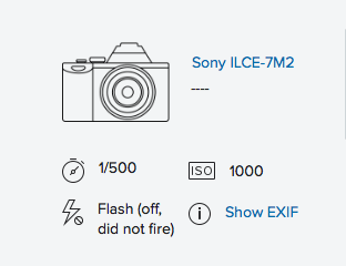 Sony a7ii & Canon FD 50mm f/1.2 @ 1.2