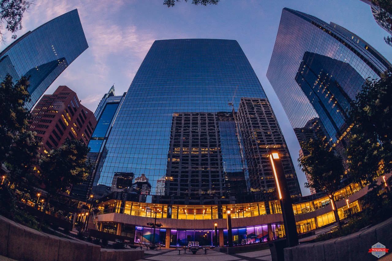 Click photo to view in a larger size.