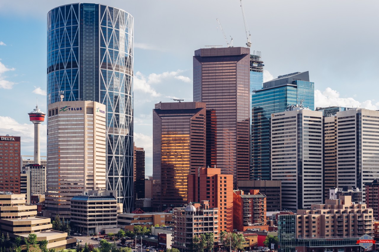 Click photo to view in a larger size.