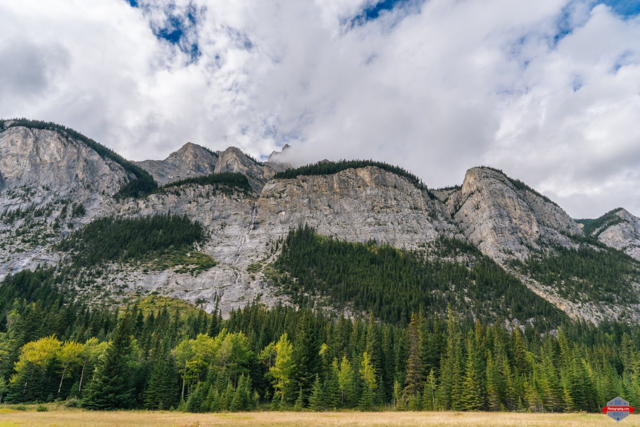 Click photo to view in a larger size.