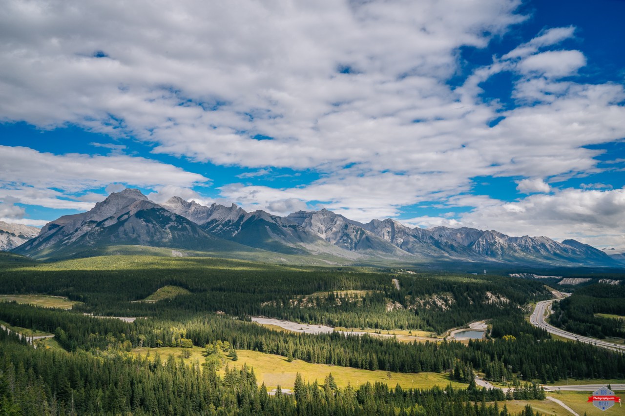 Click photo to view in a larger size.