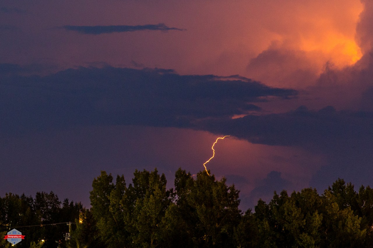 Click photo to view in a larger size.