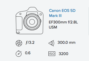 exif-data-rob-moses-canon-5d-mark-iii-ef-300mm-f2-8