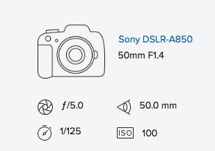 rob-moses-exif-data-sony-a850-minolta-50mm-1-4