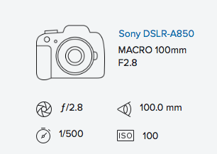 sony-a850-minolta-100mm-f2-8-macro-rob-moses-exif-data