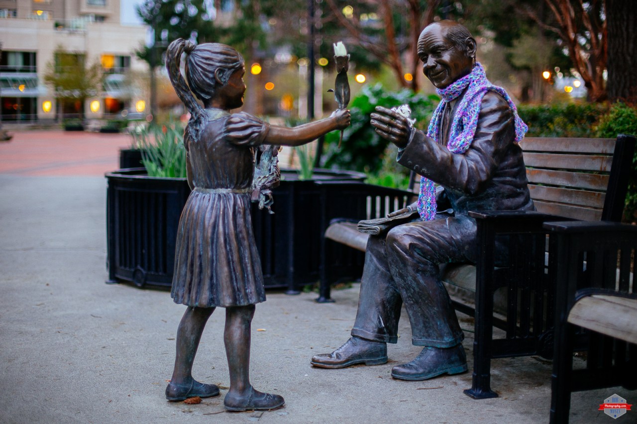 Click photo to view in a larger size.