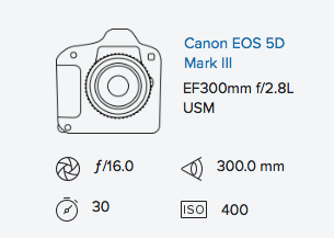 exif-data-rob-moses-canon-5d-mark-iii-300mm-f2-8