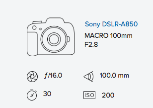 exif-data-rob-moses-sony-a850-minolta-100mm-f2-8-macro