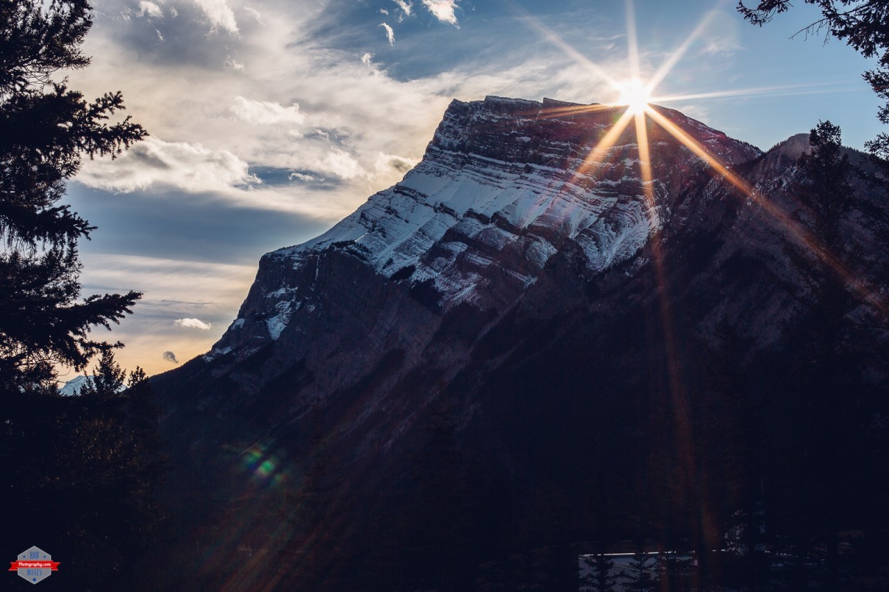 Click photo to view in a larger size.