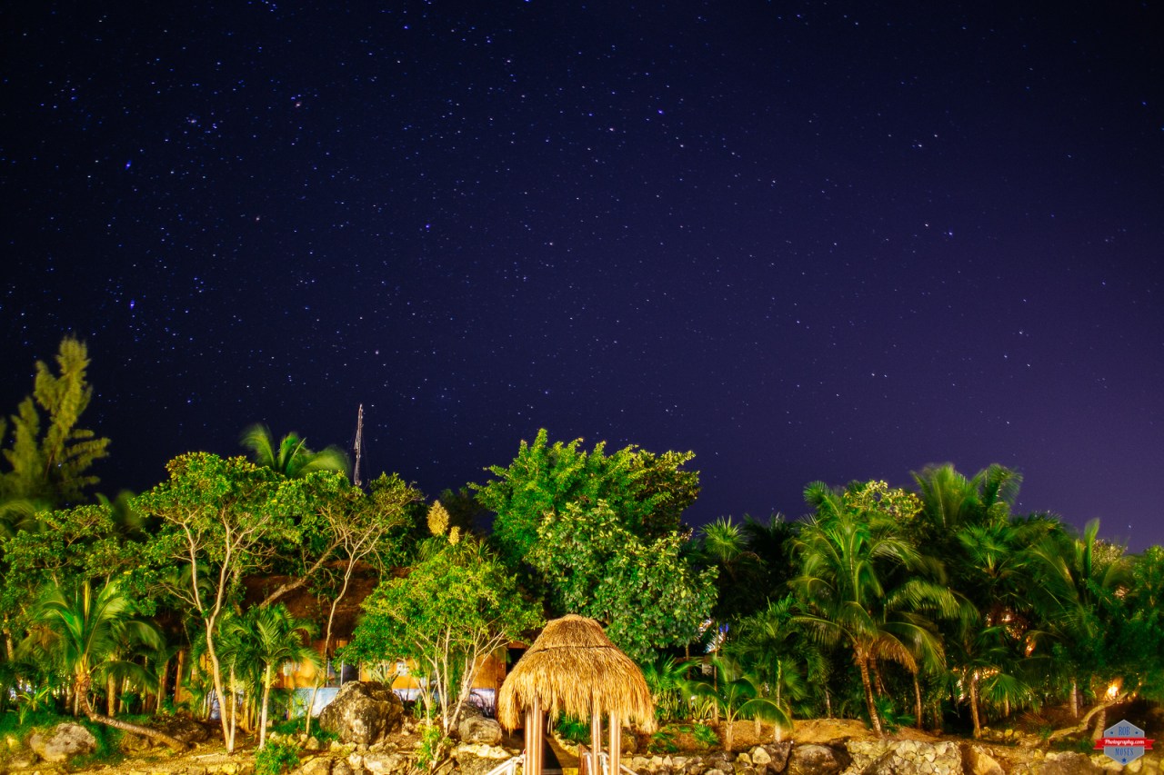 Click this photo to view in a larger size.