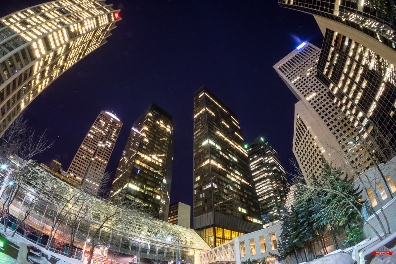 Click to view photo in a larger size.