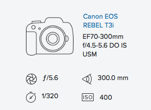 exif-data-canon-t3i-70-300mm-is-do-rob-moses