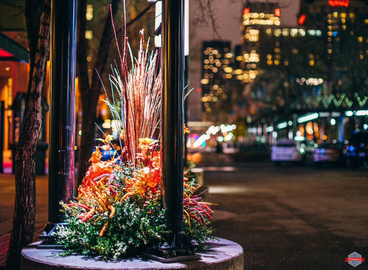 Click photo to view in a larger size.