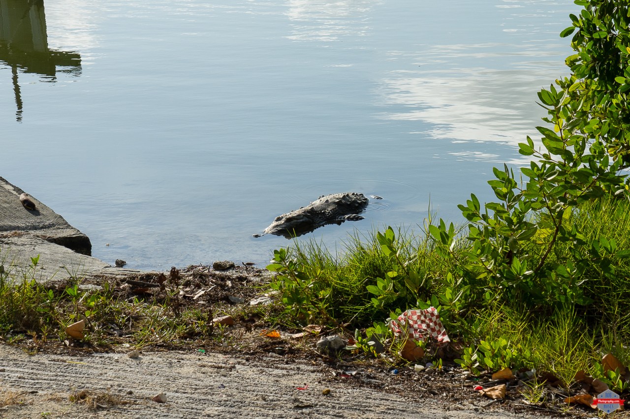 cancun-mexico-travel-rob-moses-photography-portland-calgary-vancouver-seattle-spokane-photographer-wa-bc-native-american-tlingit-ojibaway-famous-un-celebrity-canadian-best-pdx-3